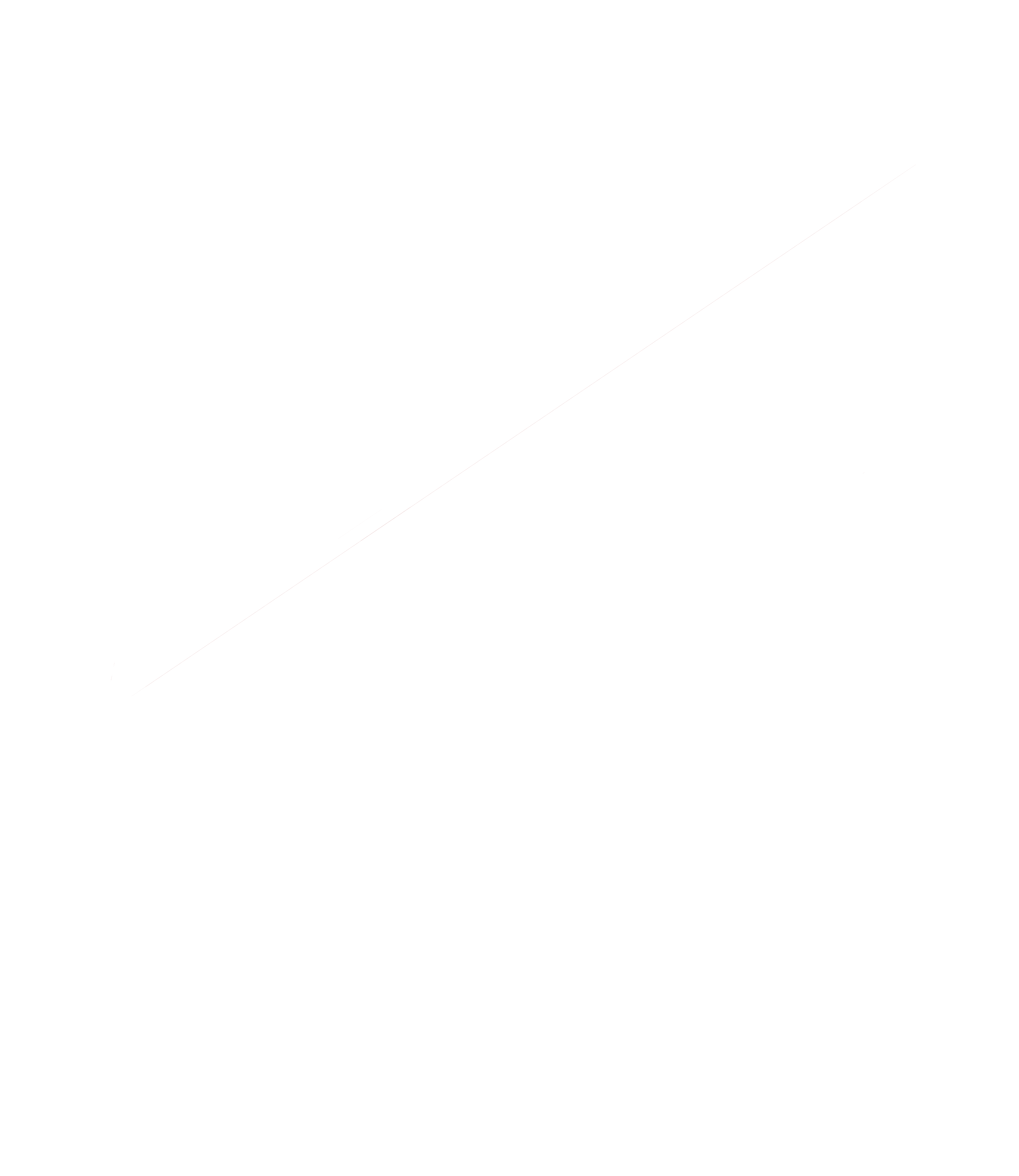 FORTUNA